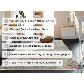 OCI DIE TEPPICHMARKE BESTELLER CAVA Hochflorteppich 240 x 300 cm Mehrfarbig