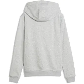Puma W TAD Essential FT FZ light Grey heather,