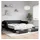 vidaXL Tagesbett 100 x 200 cm Schwarz