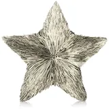 COM-FOUR® Deko-Stern 3D aus Kunststoff, metallisch glänzender Dekostern, champangerfarben