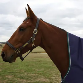 Weatherbeeta Comfitec Plus Dynamic Turnout High Neck 220g, 150