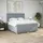 vidaXL Boxspringbett 180 x 200 cm Hellgrau