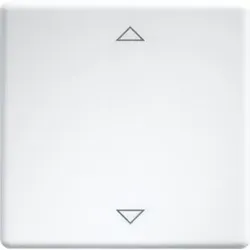 Eltako Wippe lasergraviert f.55x55mm rws W-FT55-wg+2P
