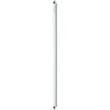 Osram Lumilux T5 HE 21W/840 G5