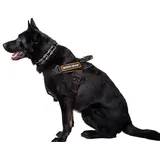 Dingo Gear Geschirr für Hunde in der Arbeit Große XL Training IPO Cobra System handgefertigt Schwarz S03197