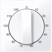 Merten Zentralplatte für Zeitschalter-Einsatz 120 min, System M