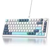 SOLIDEE Verkabelte Mechanische Gaming Tastatur 75 Prozent,hot-swap-fähige Mechanische Tastatur mit Gasket Struktur,RGB Hintergrundbeleuchtung,82 Tasten TKL Tastatur mit Drehknopf(82 Shoko)