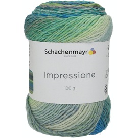 Schachenmayr since 1822 Schachenmayr Impressione, 100G landscape color Handstrickgarne