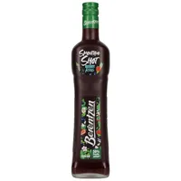 Berentzen Smoothie Berry Kiss 15% Vol. 0,5l