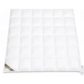 Betten Hofmann Hofmann Franken Daunenbett Daunendecke 6x6, 200x200 5 cm Außensteg 100% Daunen - Schwarz