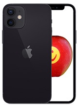 Apple iPhone 12 64GB/4GB RAM Dual-SIM schwarz