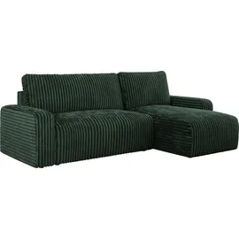 MKS Meble Ecksofa Cord 2-Sitzer Grün
