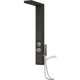 vidaXL Duschpaneel-System Aluminium Schwarz