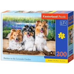 Castorland Shelties in the Lavender Garden, Puzzle 200 Teile
