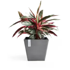Ecopots Rotterdam 50 x 50 x 43,8 cm Grau