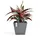 Ecopots Rotterdam 50 x 50 x 43,8 cm Grau