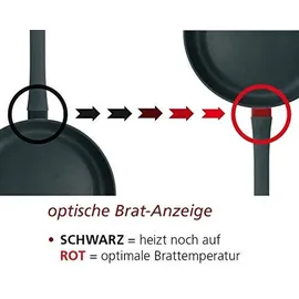 Schulte-Ufer Charisma Fischpfanne 36 cm