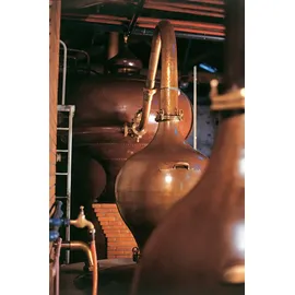 Remy Martin Rémy Martin XO