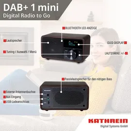 Kathrein DAB+ 1 mini holz dunkel