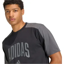 adidas Collegiate T-Shirt Herren T-Shirt, schwarz - 4XL
