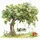 Ti-Flair Servietten Feline Summer 33x33cm 20 Stück 3-lagig