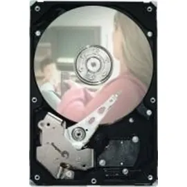 Seagate Pipeline 320 GB 3,5" ST3320311CS