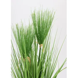 I.GE.A. Kunstpflanze I.GE.A. "Zyperngras im Topf", grün, B:28cm H:53cm L:28cm, Kunststoff, Kunstpflanzen, Kunstpflanze