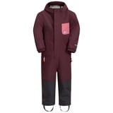 Jack Wolfskin Schneeoverall »GLEELY 2L INS OVERALL K« Jack Wolfskin boysenberry