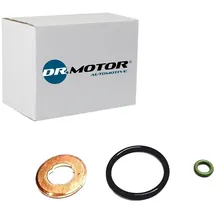 dr.motor AUTOMOTIVE Dichtungssatz, Einspritzdüse