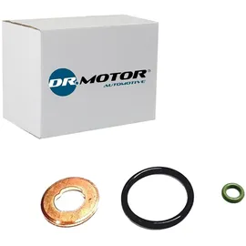 dr.motor AUTOMOTIVE Dichtungssatz, Einspritzdüse