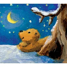 Coppenrath Verlag Der Mondbär im Weihnachtshimmel Adventskalender