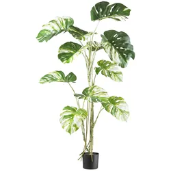 CREATIV green künstliche Pflanze Monstera deliciosa variegata, 160cm
