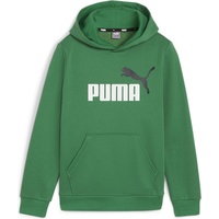 Puma Jungen, Pullover, ESS+ 2 Col Big Logo Hoodie FL B, Grün,
