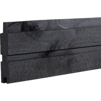 Plus Plank Profilbrett schwarz 2,5 x 14 x 177