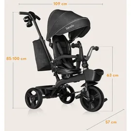 lionelo Dreirad mit Schubstange für Kinder ab 1,5 bis 5 Jahre, drehbarer Sitz, Magnesium-Rahmen, wartungsfreie Gummiräder, freies Rad, abnehmbares Vordach, 55 x 80 x 56 cm