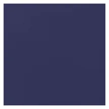vidaXL Wassertank 1250 l blau
