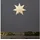 star trading deutschland gmbh Papierstern Tott 80 cm Weiß/Braun