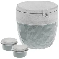 Koziol BentoBox L grau 14,2 x 13 x 13,5 cm 0,8 l