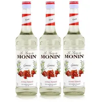 Monin Sirup Gomme 700ml - Cocktails Milchshakes Kaffeesirup (3er Pack)