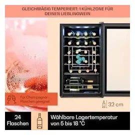 Klarstein Shiraz 24 Uno Weinkühlschrank 1 Zonen Getränkekühlschrank Klein, Kleiner Weinschrank 63L, Wein-Kühlschrank Klein mit Glastür, Indoor/Outdoor