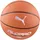 Puma Teamjaws All Pro Basketball Braun/Schwarz 7