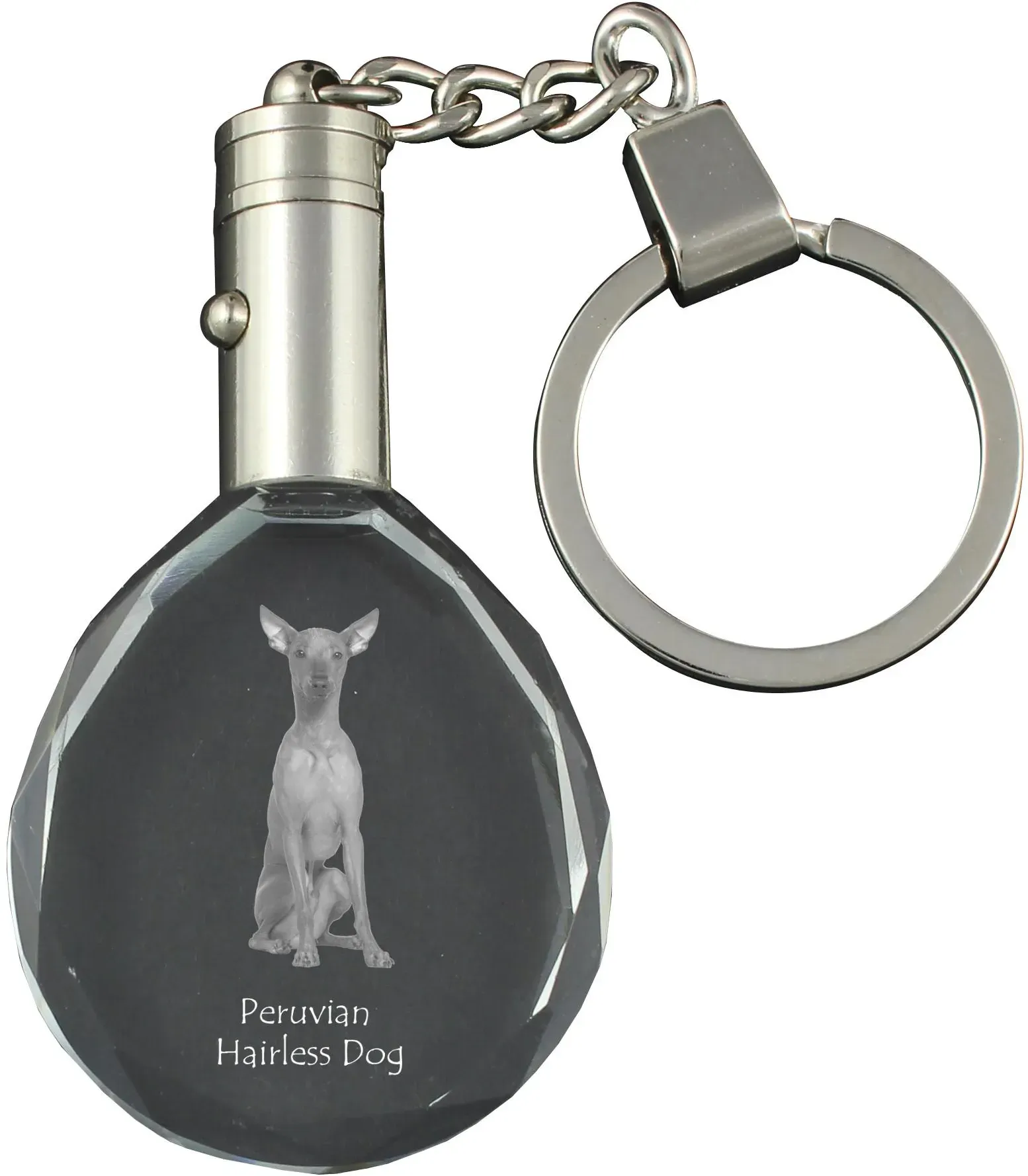 Peruvian Hairless Dog, Peruvian Viringo, Naked Dog - pendant with a photo of a dog, crystal key ring in a gift box, a unique gift by Art-Dog