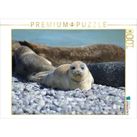 Calvendo Robben Baby Puzzle