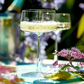 Stölzle Power Champagnerschale Sektglas 0,276 l 6 St.