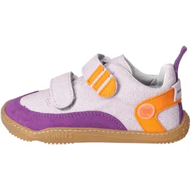 qnuffs Ahorn Kinder Lila 30