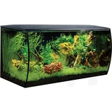 Fluval Flex 123l Süßwasser Aquarium, schwarz