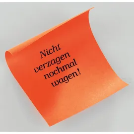 WOLF & APPENZELLER Nieten Röllchenlose 500 St. Bunt