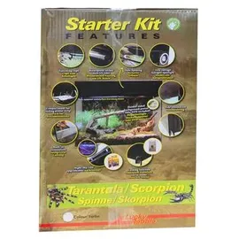 Lucky Reptile Starter Kit Vogelspinne/Skorpion, Farbe:Schwarz