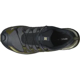 Salomon XA Pro 3D V9 Herren India Ink/Olive Night/Aloe Wash 46 2/3