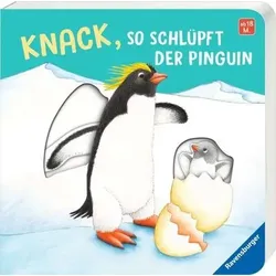 RAVENSBURGER 41774 Knack, so schlüpft der Pinguin